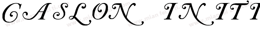 Caslon Initials Regu字体转换